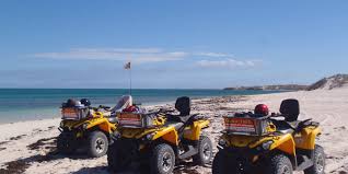 Local Coastal Adventure Tour - Image 2
